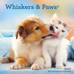 2017 Calendar - Whiskers & Paws PB - DaySpring
